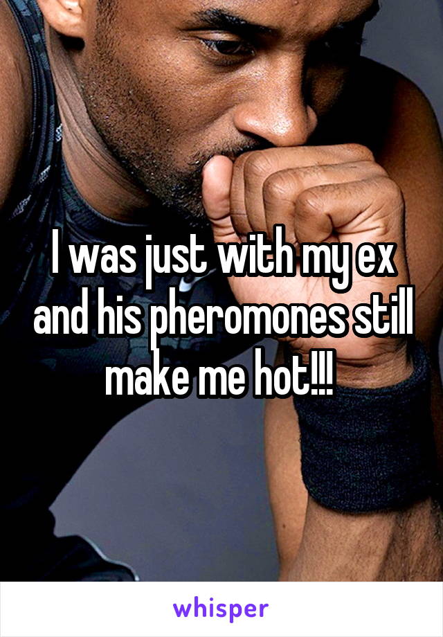 I was just with my ex and his pheromones still make me hot!!! 