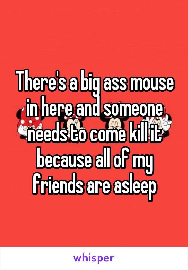 There's a big ass mouse in here and someone needs to come kill it because all of my friends are asleep