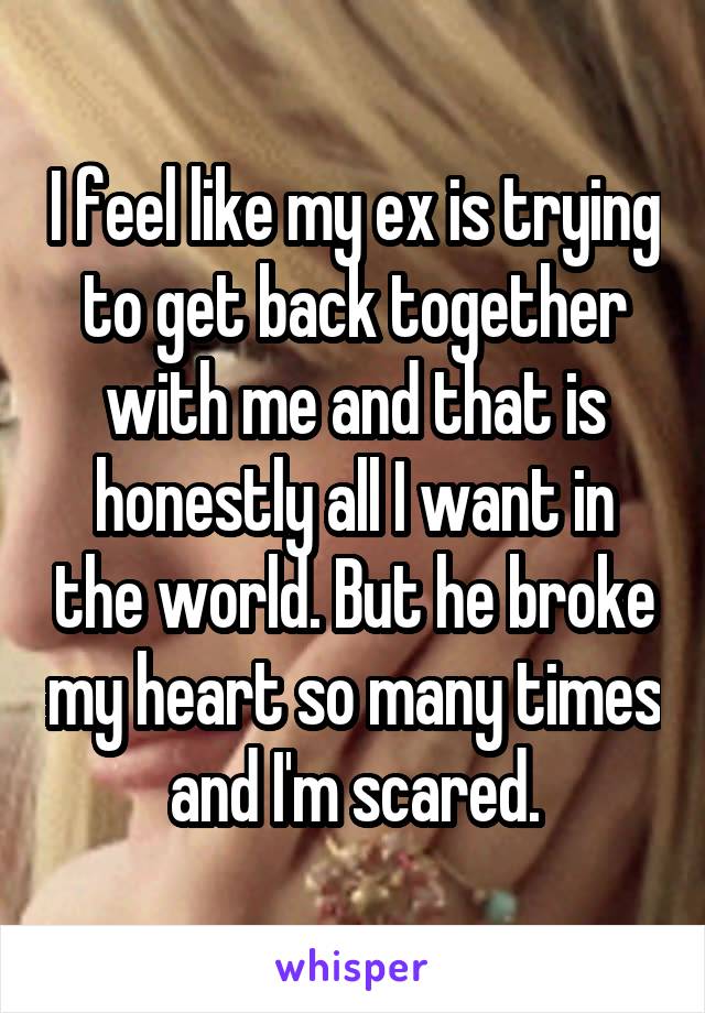 I feel like my ex is trying to get back together with me and that is honestly all I want in the world. But he broke my heart so many times and I'm scared.