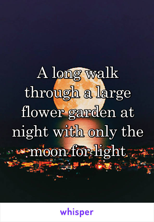 A long walk through a large flower garden at night with only the moon for light