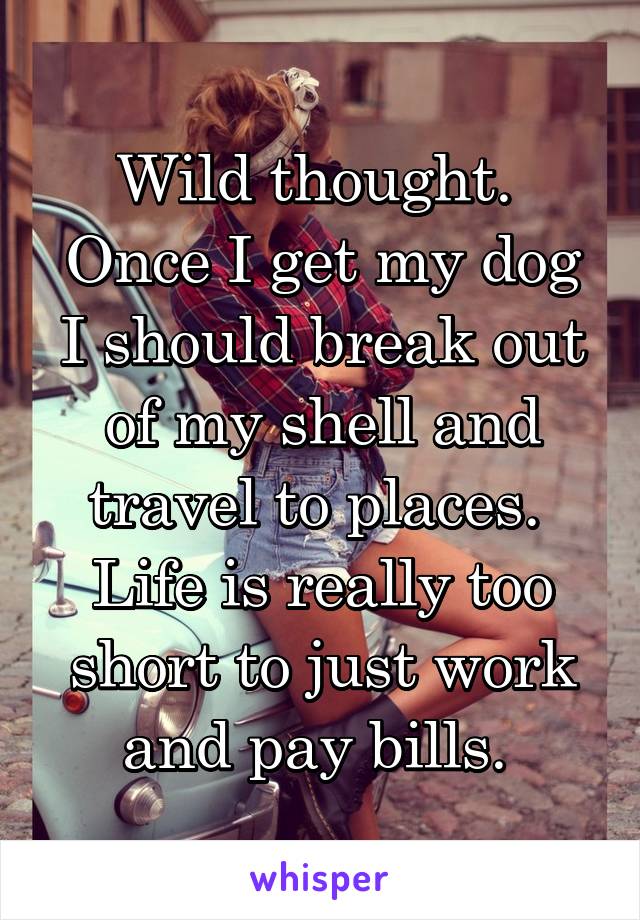 Wild thought. 
Once I get my dog I should break out of my shell and travel to places. 
Life is really too short to just work and pay bills. 