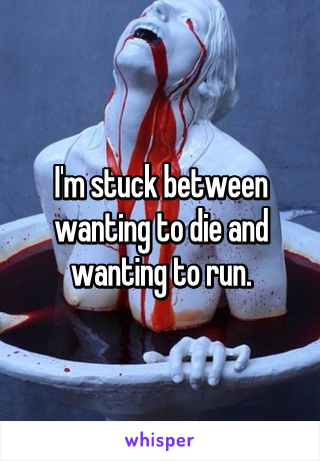 I'm stuck between wanting to die and wanting to run.