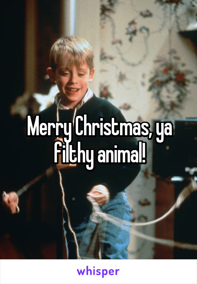 Merry Christmas, ya filthy animal!