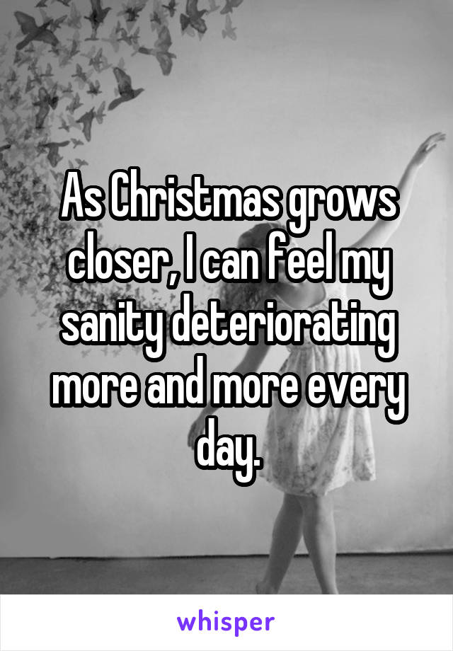 As Christmas grows closer, I can feel my sanity deteriorating more and more every day.