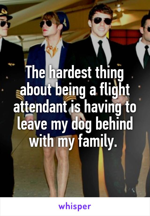 The hardest thing about being a flight attendant is having to leave my dog behind with my family. 