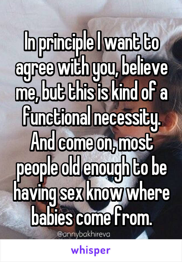 In principle I want to agree with you, believe me, but this is kind of a functional necessity. And come on, most people old enough to be having sex know where babies come from.