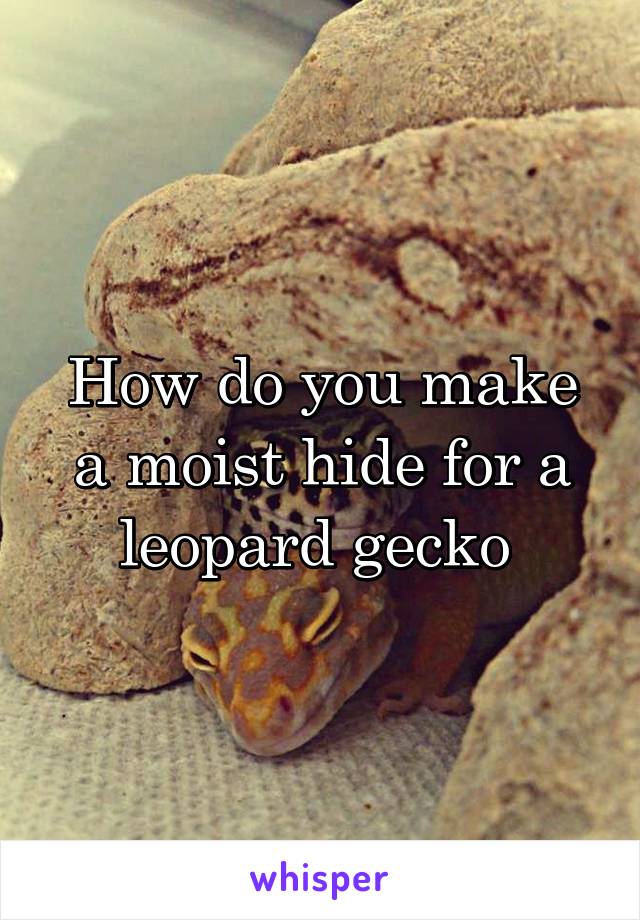 How do you make a moist hide for a leopard gecko 
