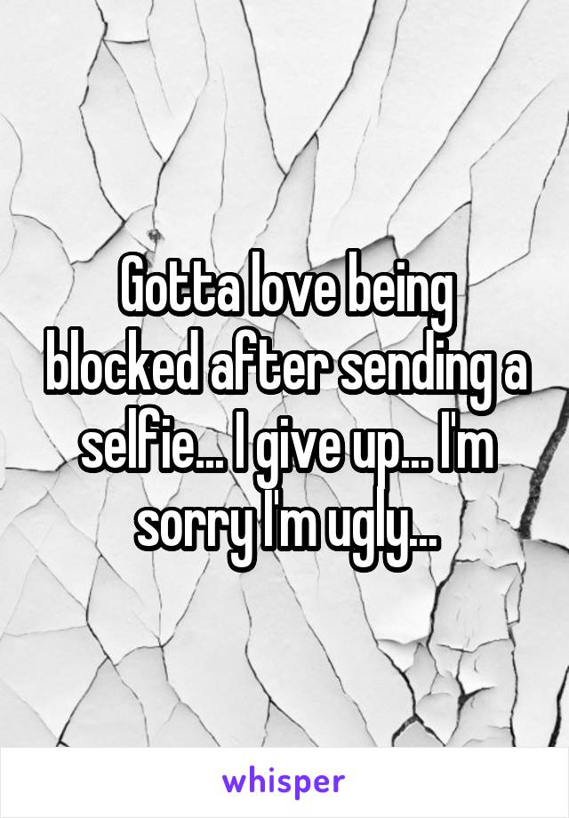 Gotta love being blocked after sending a selfie... I give up... I'm sorry I'm ugly...