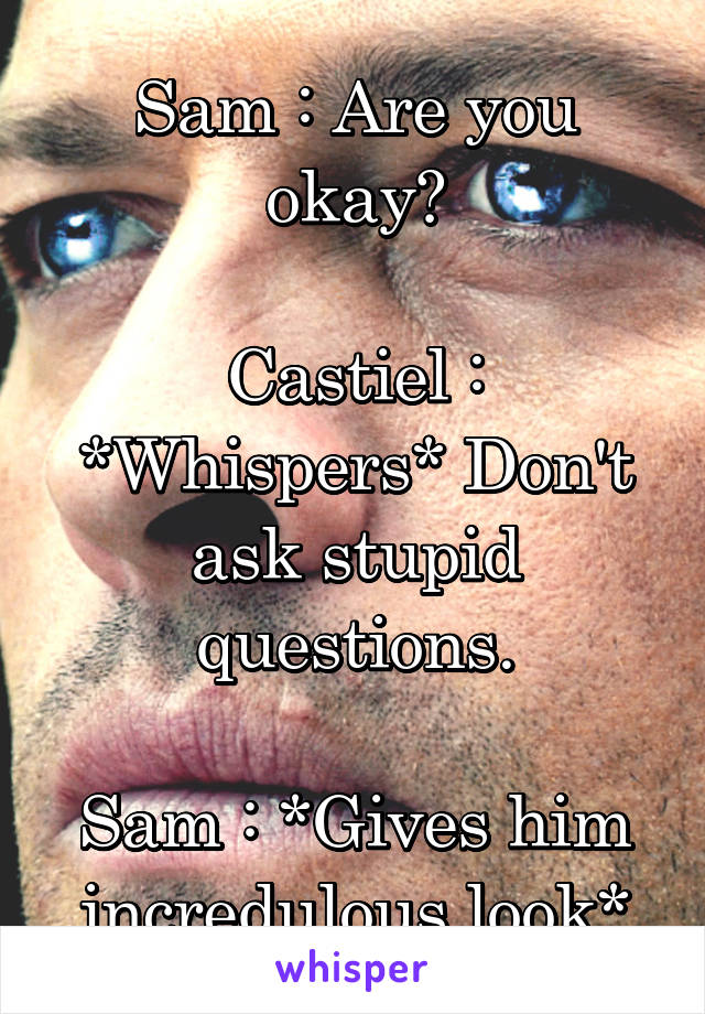 Sam : Are you okay?

Castiel : *Whispers* Don't ask stupid questions.

Sam : *Gives him incredulous look*