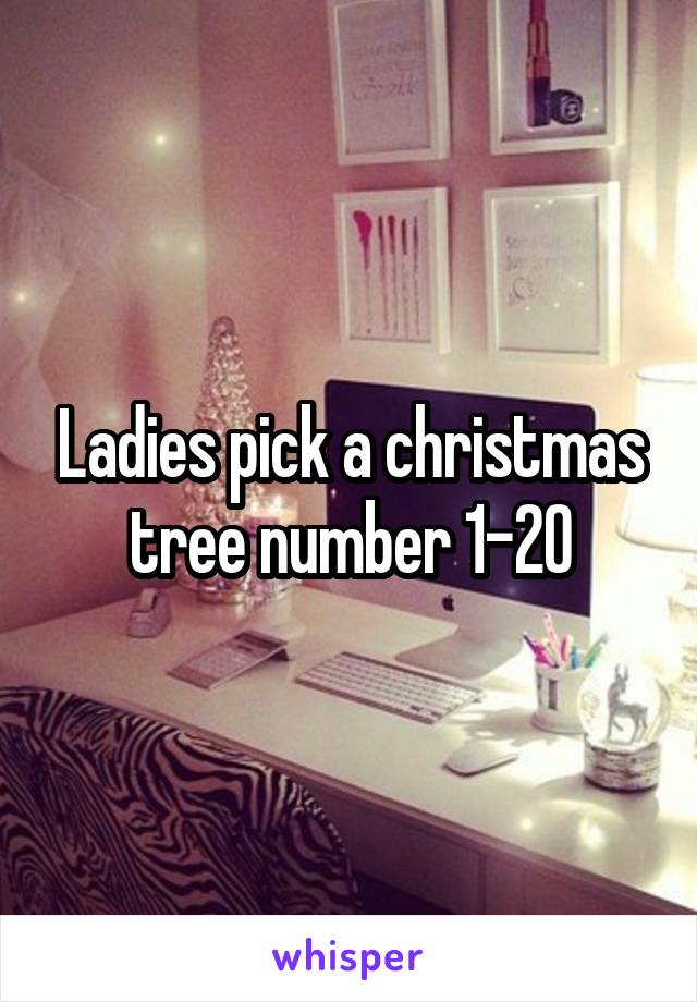 Ladies pick a christmas tree number 1-20