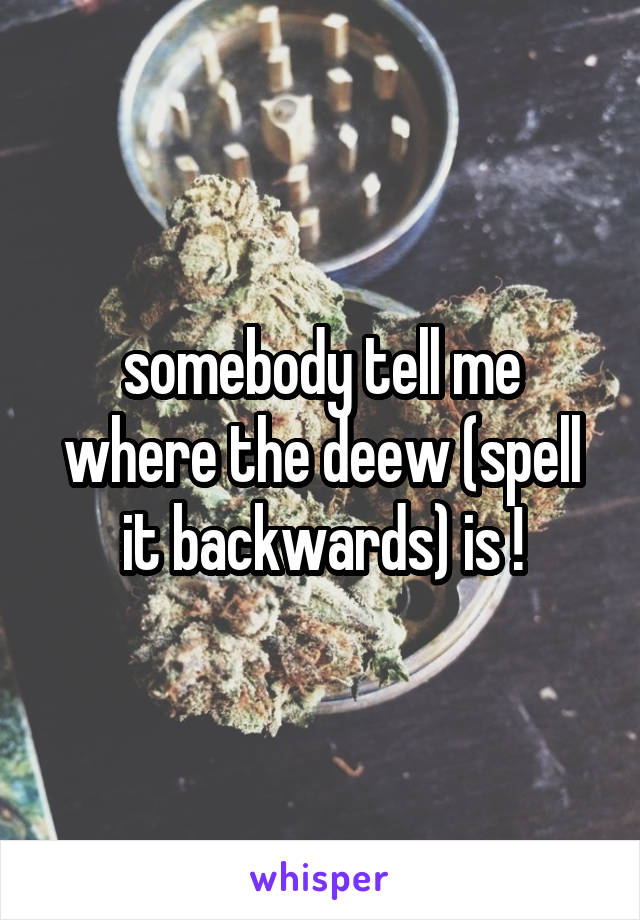 somebody tell me where the deew (spell it backwards) is !