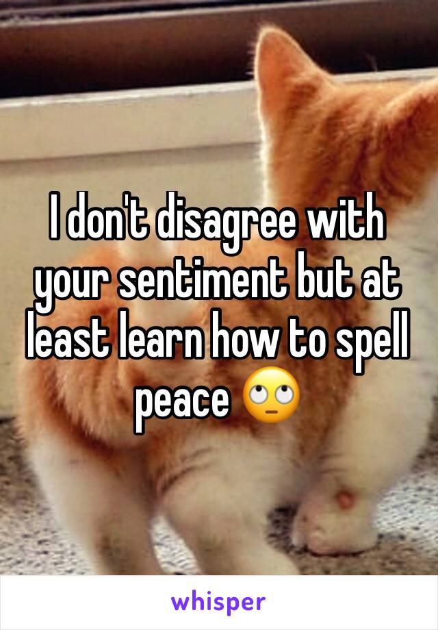 I don't disagree with your sentiment but at least learn how to spell peace 🙄