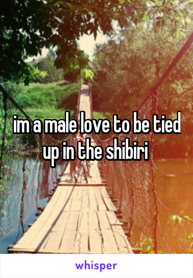 im a male love to be tied up in the shibiri 