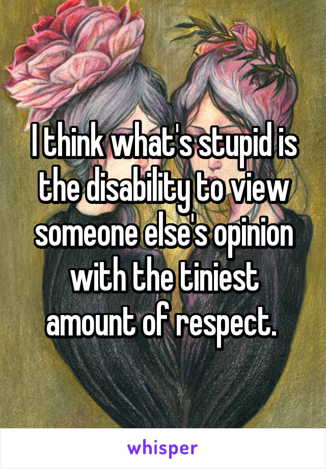 I think what's stupid is the disability to view someone else's opinion with the tiniest amount of respect. 