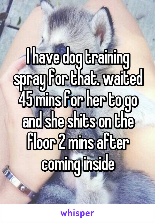 I have dog training spray for that. waited 45 mins for her to go and she shits on the floor 2 mins after coming inside