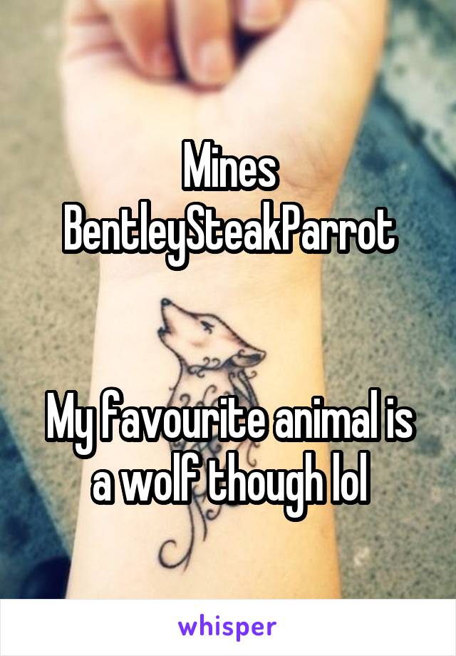 Mines BentleySteakParrot


My favourite animal is a wolf though lol