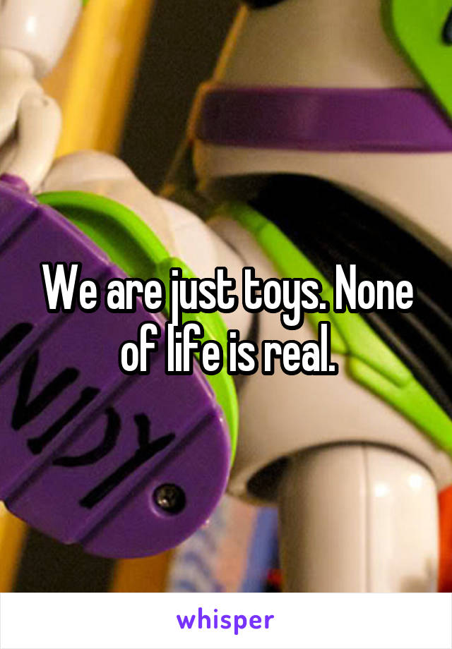 We are just toys. None of life is real.