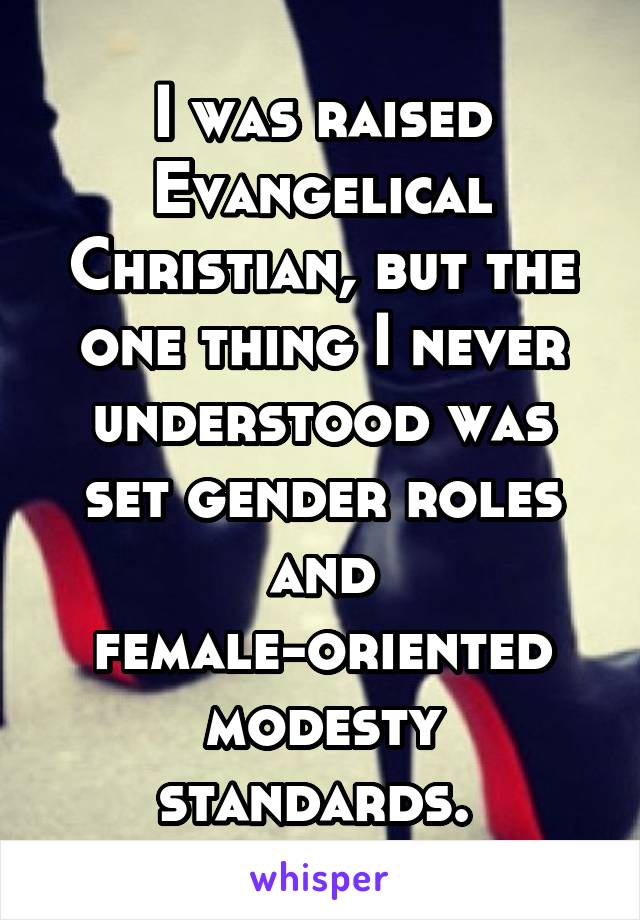 I was raised Evangelical Christian, but the one thing I never understood was set gender roles and female-oriented modesty standards. 