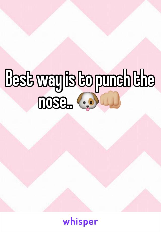 Best way is to punch the nose.. 🐶👊🏼
