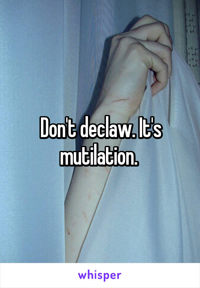 Don't declaw. It's mutilation. 
