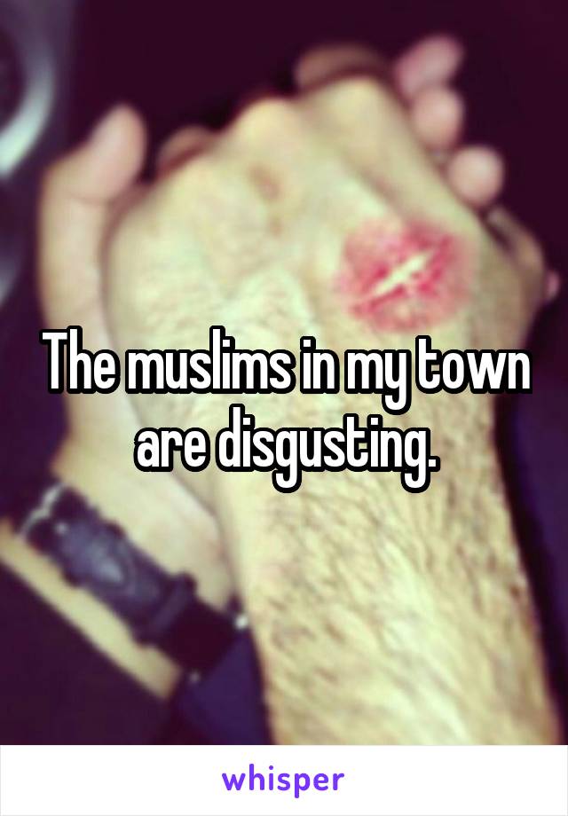 The muslims in my town are disgusting.