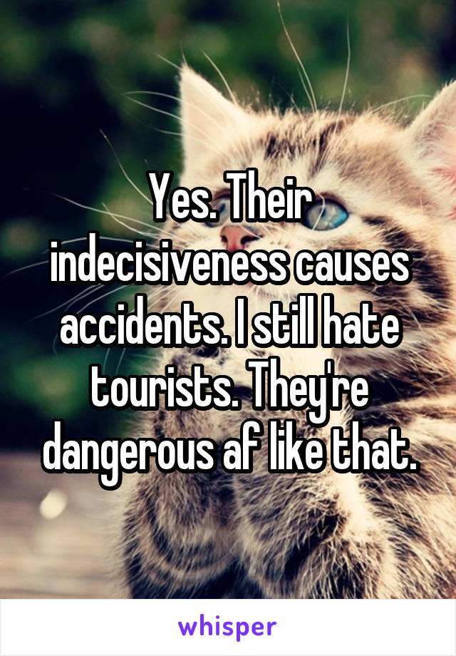 Yes. Their indecisiveness causes accidents. I still hate tourists. They're dangerous af like that.