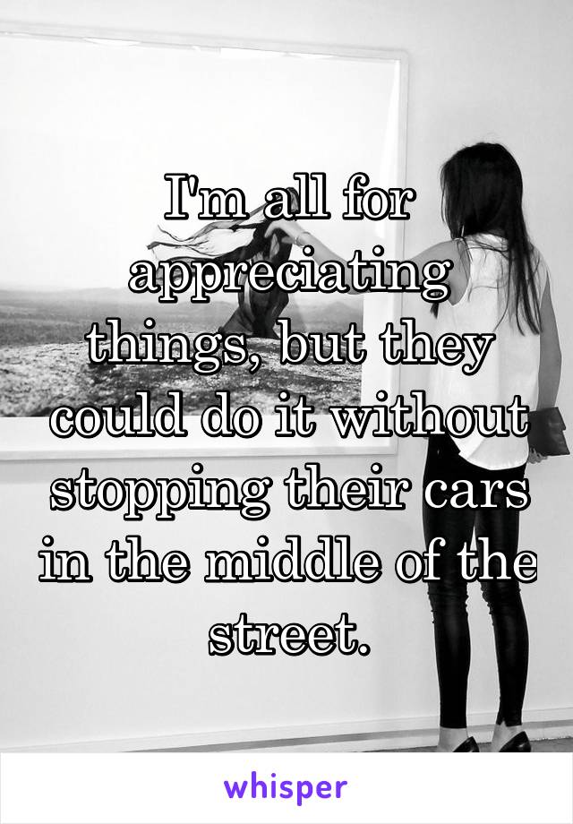 I'm all for appreciating things, but they could do it without stopping their cars in the middle of the street.