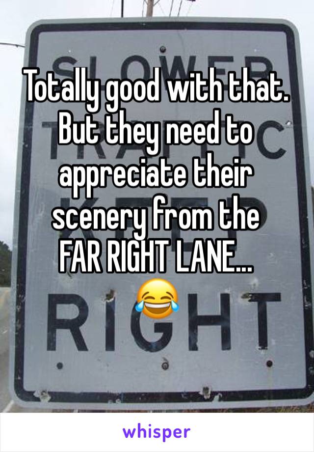 Totally good with that. But they need to appreciate their scenery from the 
FAR RIGHT LANE... 
😂