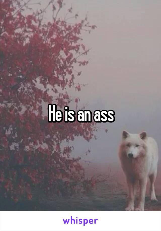 He is an ass
