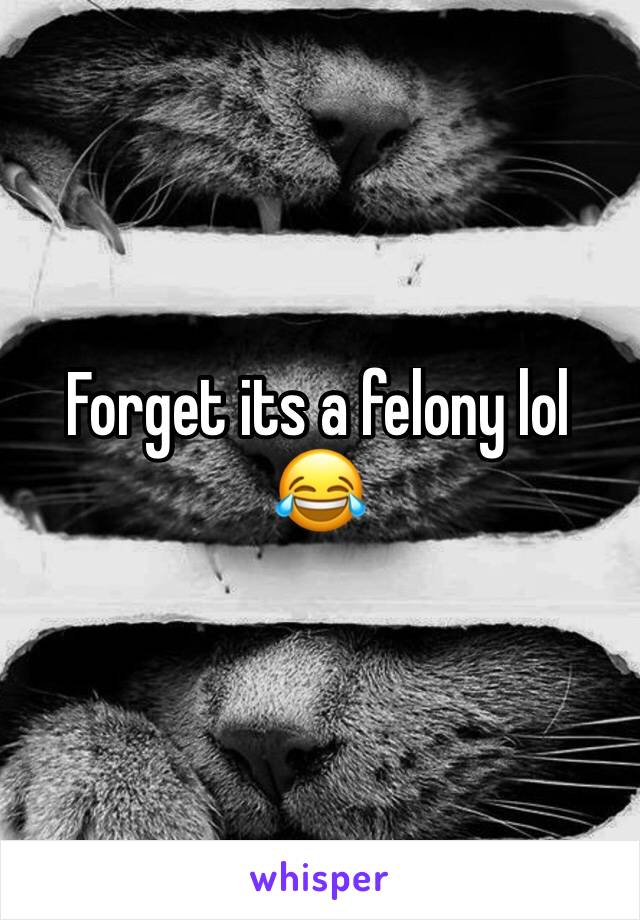 Forget its a felony lol 😂 