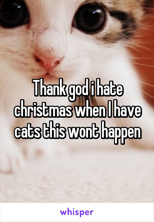 Thank god i hate christmas when I have cats this wont happen