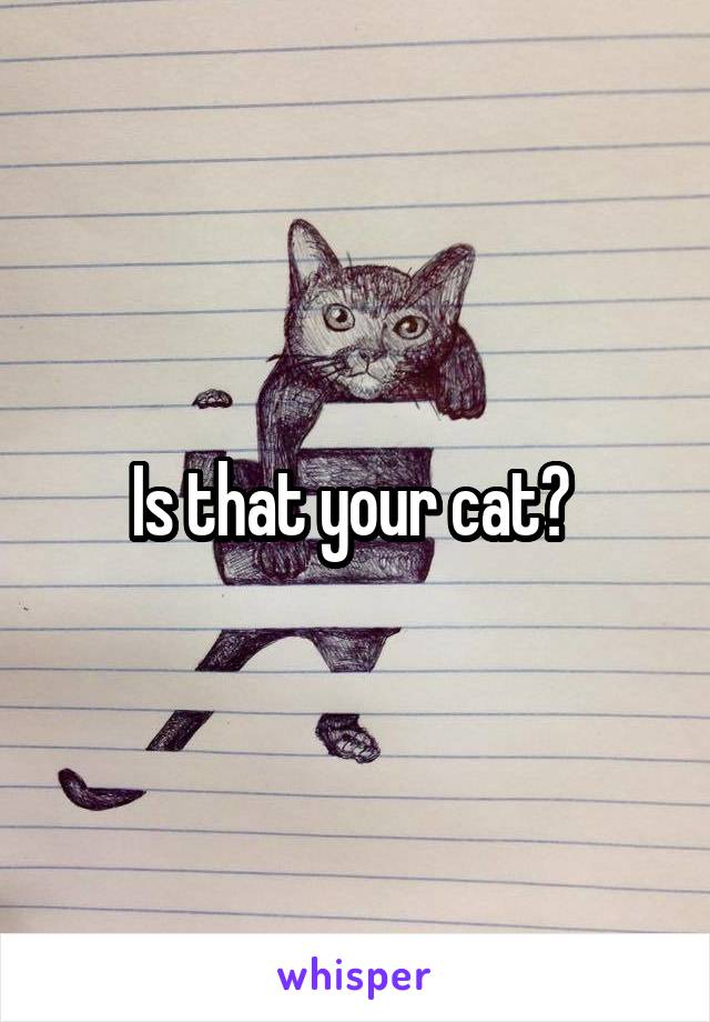 Is that your cat? 
