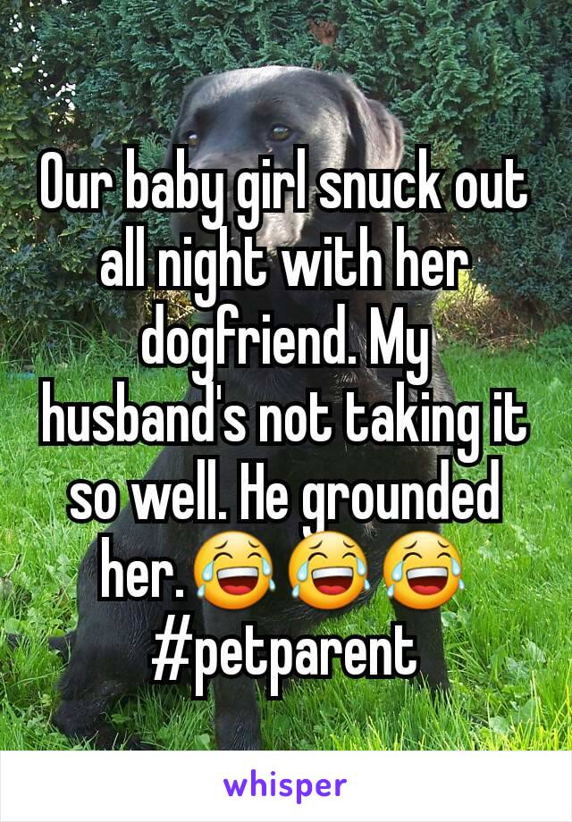 Our baby girl snuck out all night with her dogfriend. My husband's not taking it so well. He grounded her.😂😂😂
#petparent