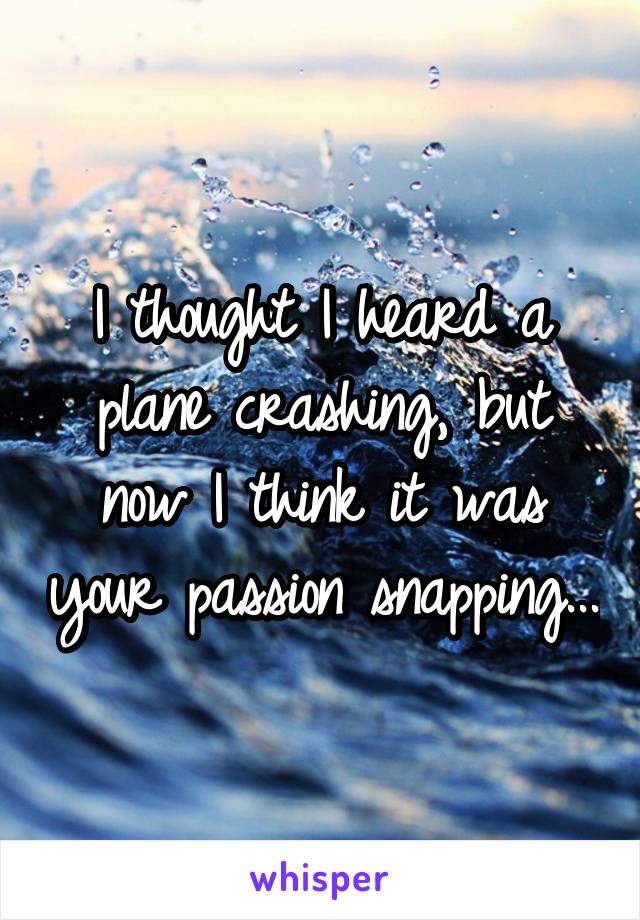 I thought I heard a plane crashing, but now I think it was your passion snapping...