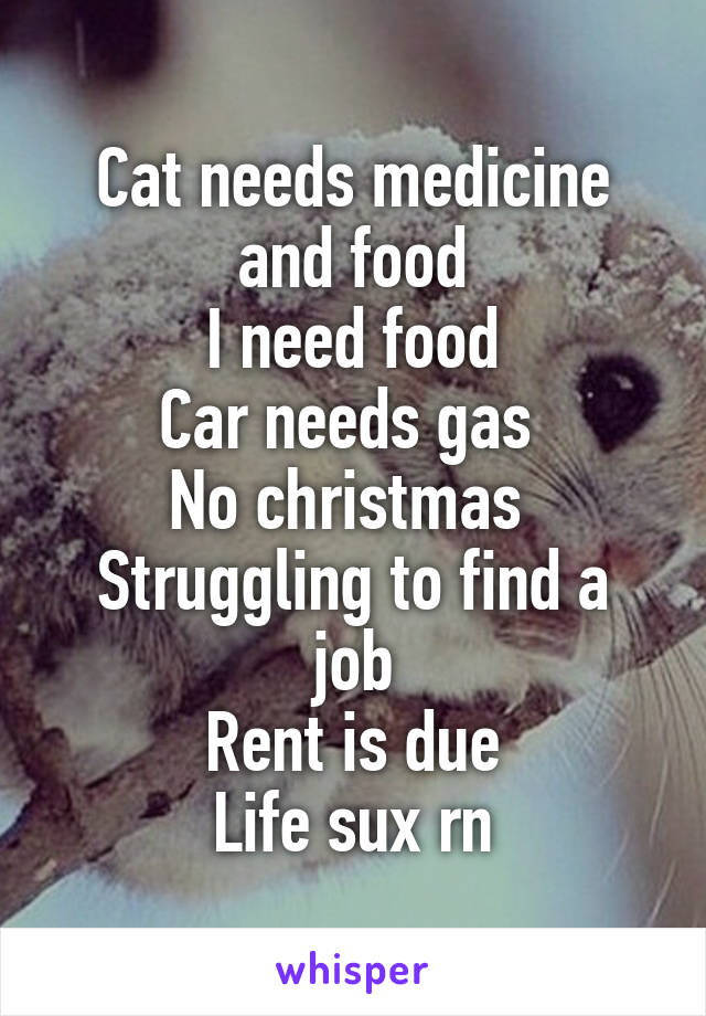 Cat needs medicine and food
I need food
Car needs gas 
No christmas 
Struggling to find a job
Rent is due
Life sux rn