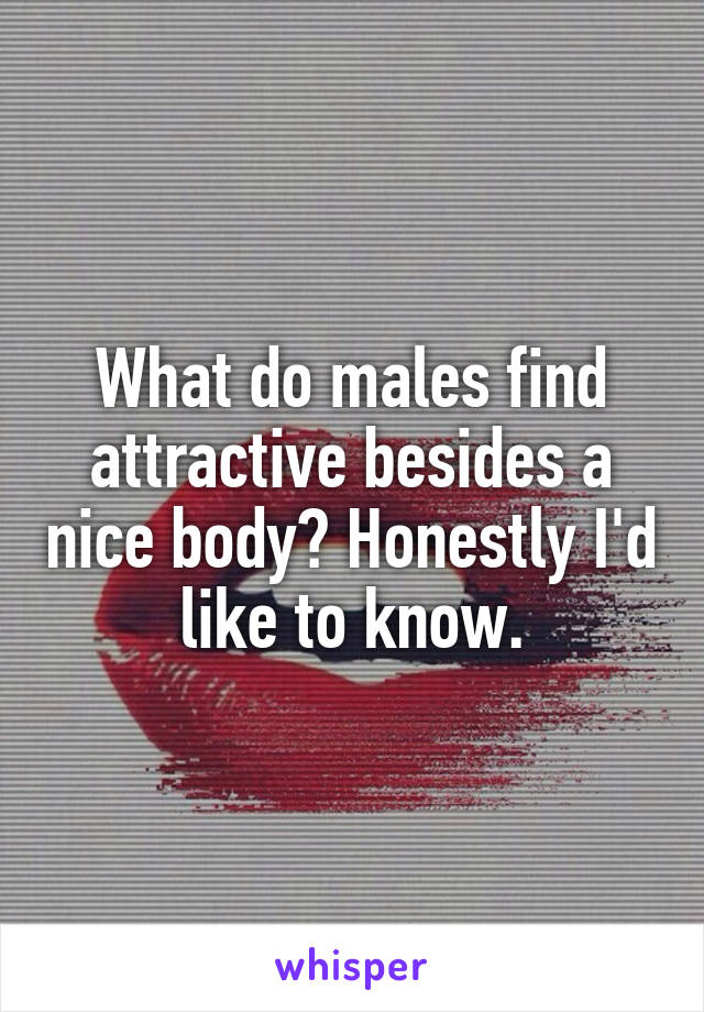 What do males find attractive besides a nice body? Honestly I'd like to know.