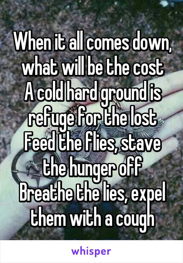 When it all comes down, what will be the cost
A cold hard ground is refuge for the lost
Feed the flies, stave the hunger off
Breathe the lies, expel them with a cough