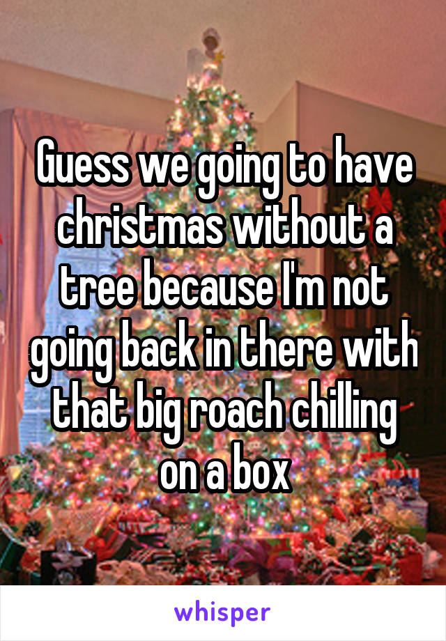 Guess we going to have christmas without a tree because I'm not going back in there with that big roach chilling on a box