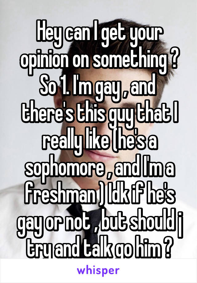 Hey can I get your opinion on something ? So 1. I'm gay , and  there's this guy that I really like (he's a sophomore , and I'm a freshman ) Idk if he's gay or not , but should j try and talk go him ?