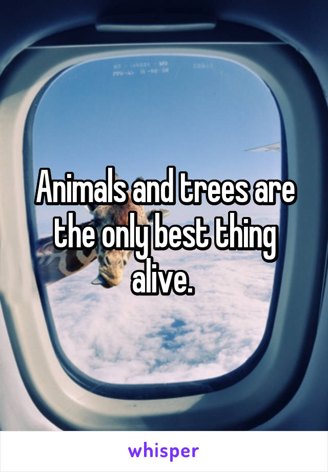 Animals and trees are the only best thing alive. 