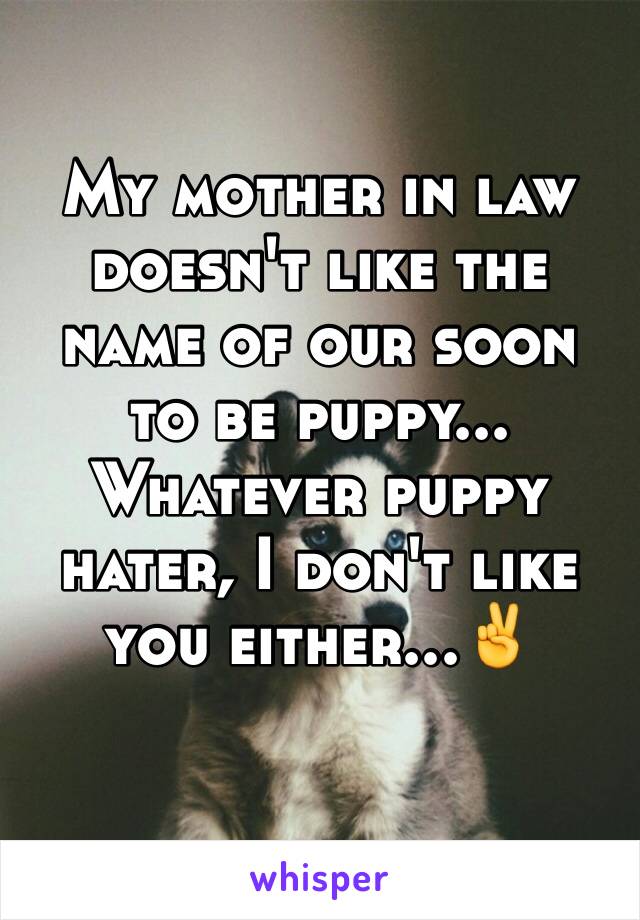 My mother in law doesn't like the name of our soon to be puppy... Whatever puppy hater, I don't like you either...✌️
