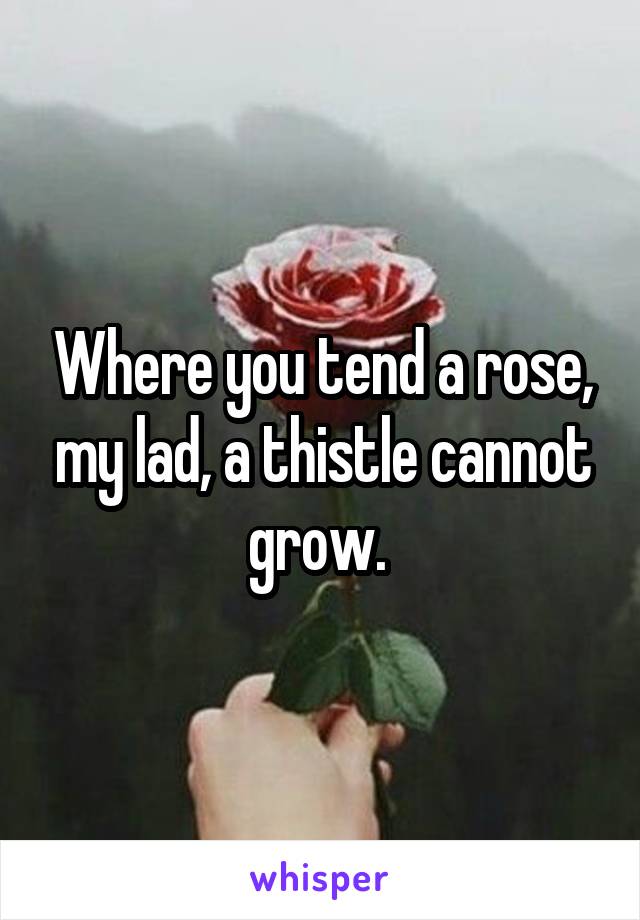 Where you tend a rose, my lad, a thistle cannot grow. 