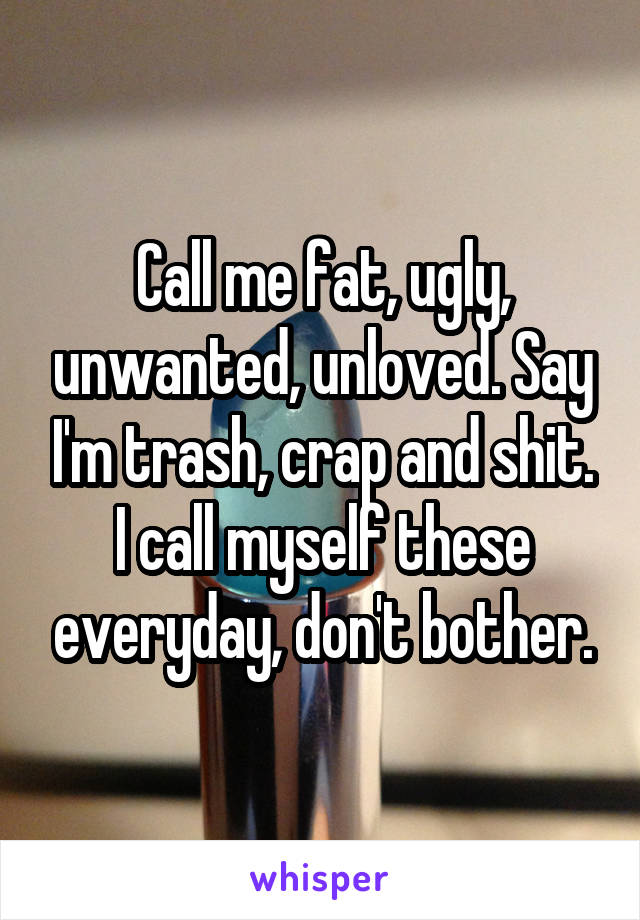 Call me fat, ugly, unwanted, unloved. Say I'm trash, crap and shit. I call myself these everyday, don't bother.