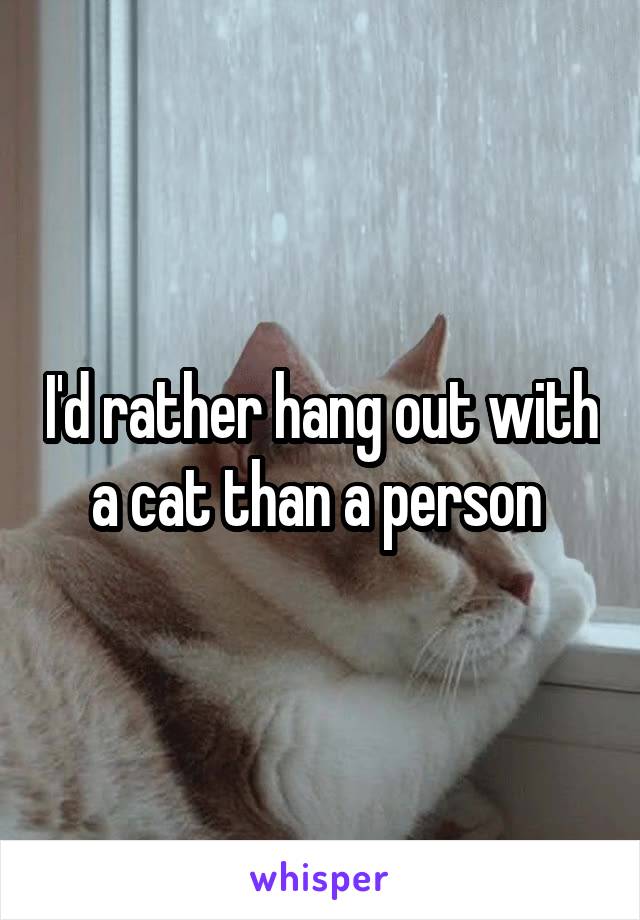 I'd rather hang out with a cat than a person 