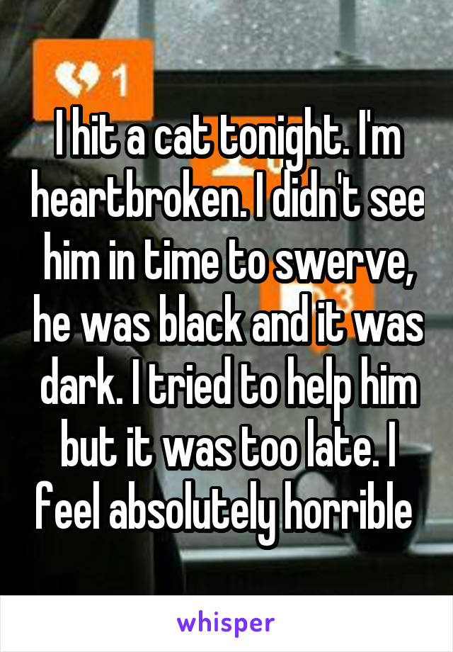 I hit a cat tonight. I'm heartbroken. I didn't see him in time to swerve, he was black and it was dark. I tried to help him but it was too late. I feel absolutely horrible 