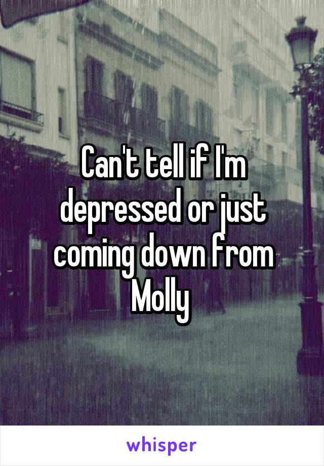 Can't tell if I'm depressed or just coming down from Molly 