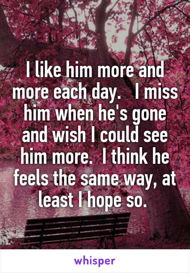 I like him more and more each day.   I miss him when he's gone and wish I could see him more.  I think he feels the same way, at least I hope so. 