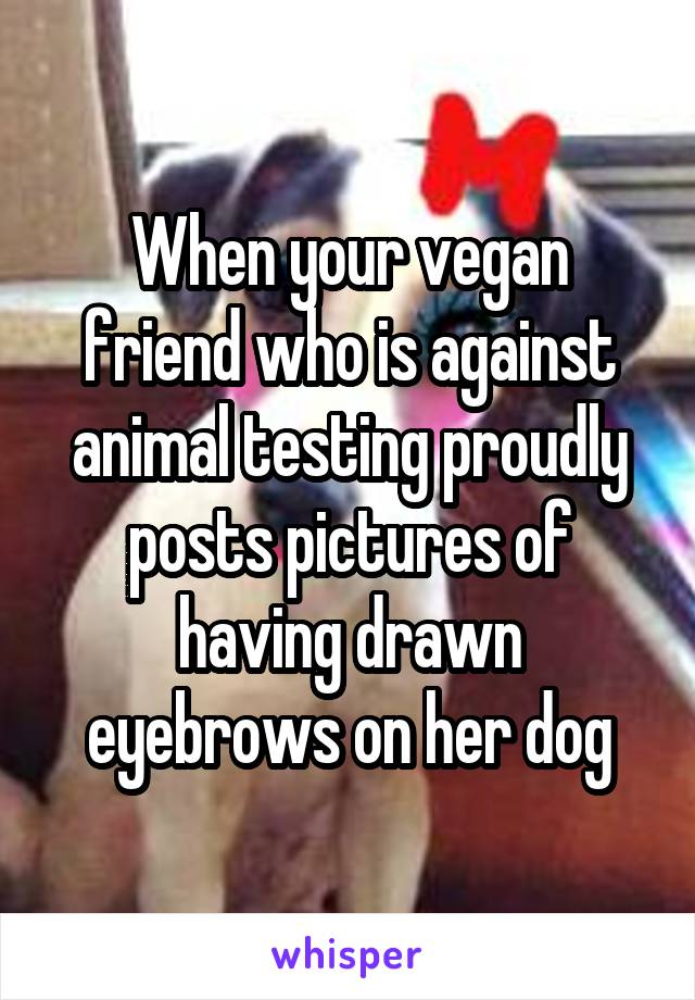 When your vegan friend who is against animal testing proudly posts pictures of having drawn eyebrows on her dog