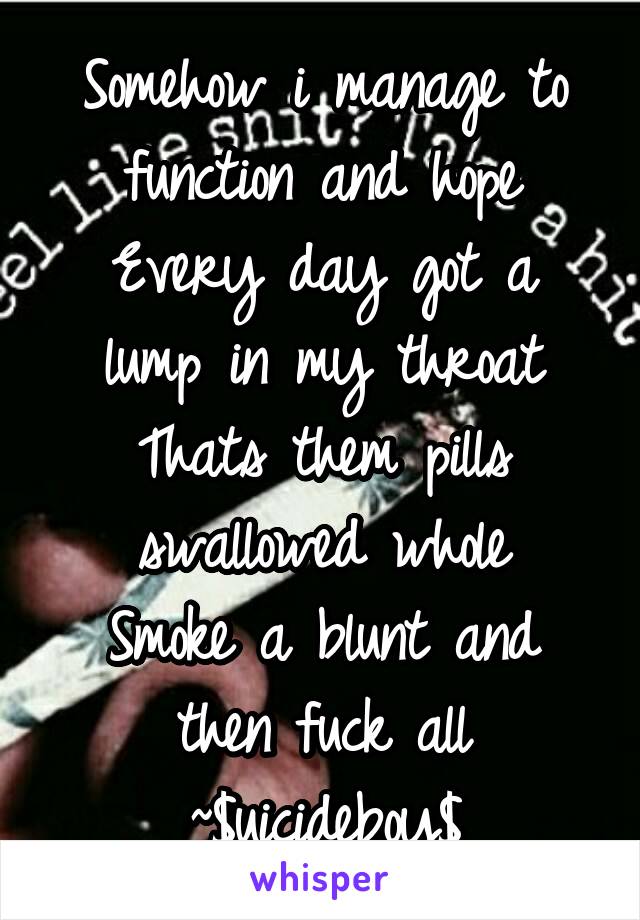 Somehow i manage to function and hope
Every day got a lump in my throat
Thats them pills swallowed whole
Smoke a blunt and then fuck all ~$uicideboy$