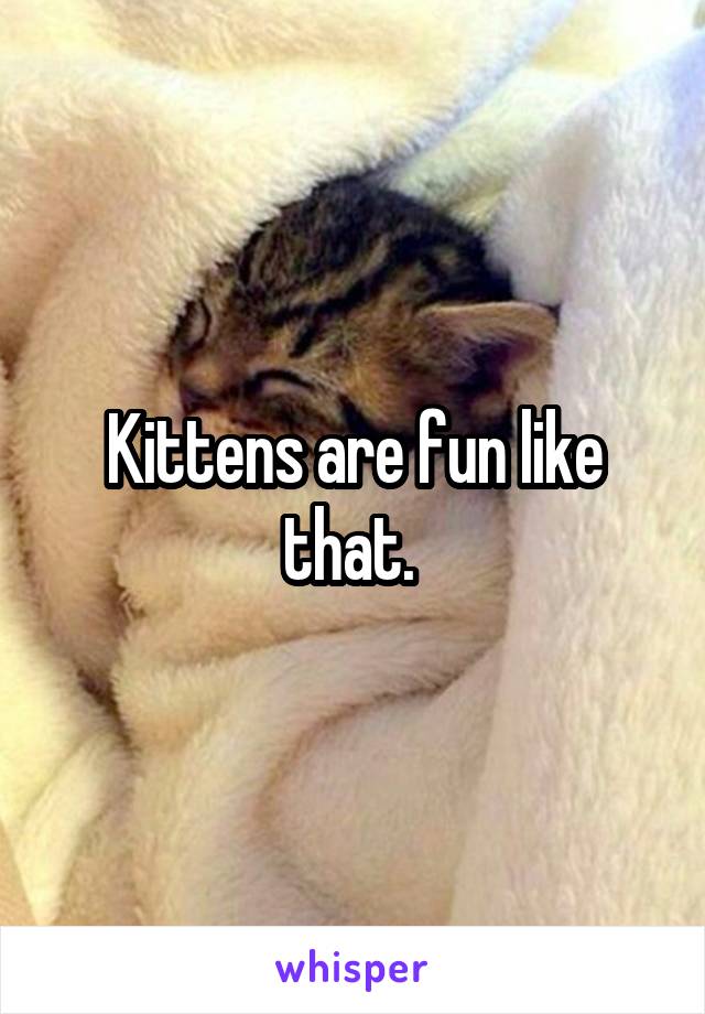 Kittens are fun like that. 